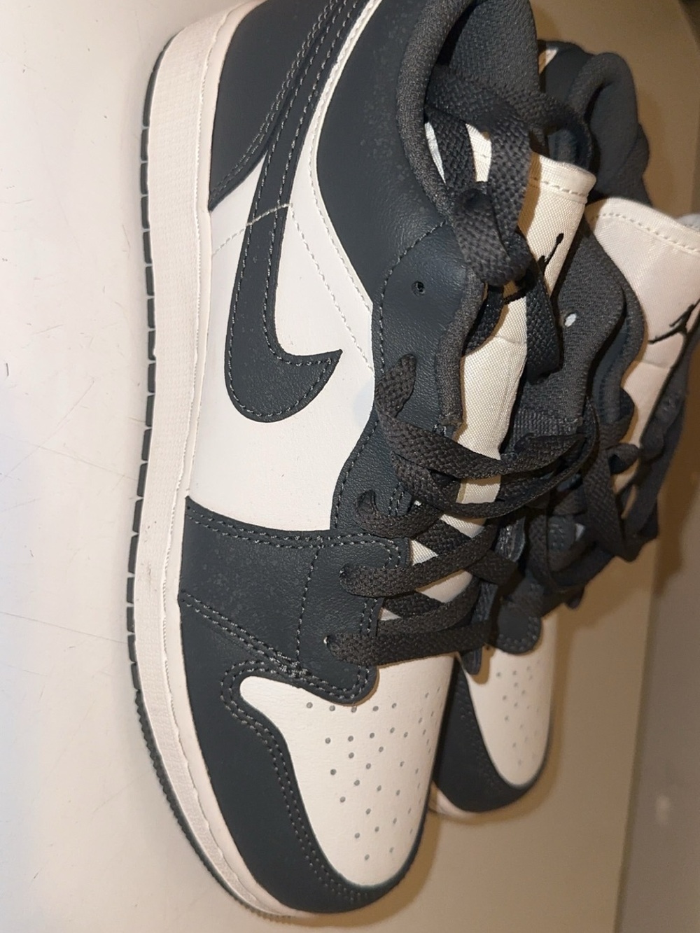 Nike Low-Top Sneakers in White and Dark Gray